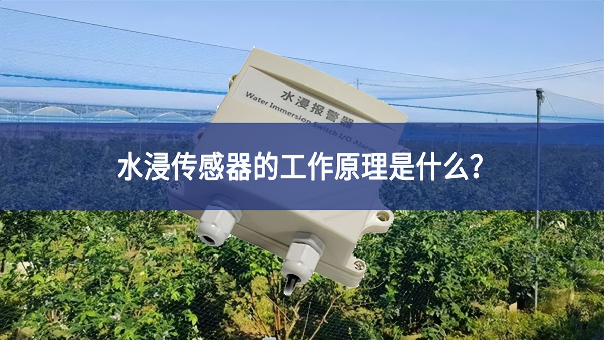 水浸传感器的工作原理是什么? 水浸传感器的工作原理是什么?
