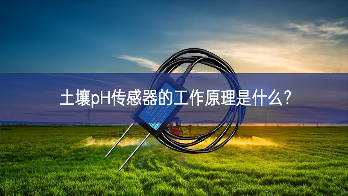 土壤pH传感器的工作原理是什么? 土壤pH传感器的工作原理是什么?