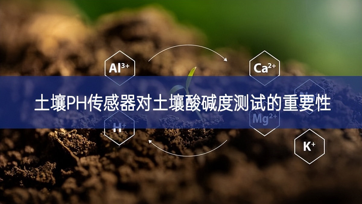 土壤PH传感器对土壤酸碱度测试的重要性 土壤PH传感器对土壤酸碱度测试的重要性