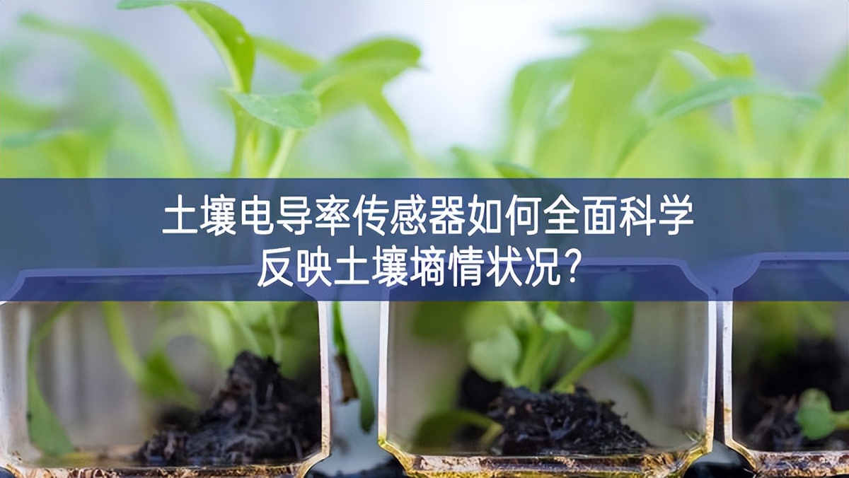土壤电导率传感器如何全面科学反映土壤墒情状况? 土壤电导率传感器如何全面科学反映土壤墒情状况?
