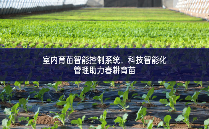 室内育苗智能控制系统,科技智能化管理助力春耕育苗 室内育苗智能控制系统,科技智能化管理助力春耕育苗