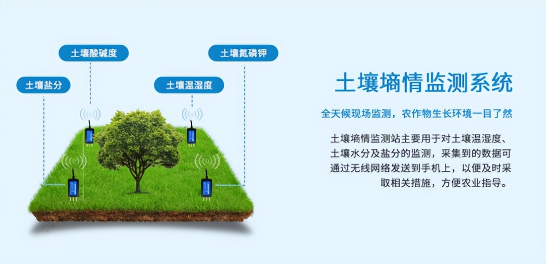 配合土壤墒情系统,维持育苗环境 配合土壤墒情系统,维持育苗环境